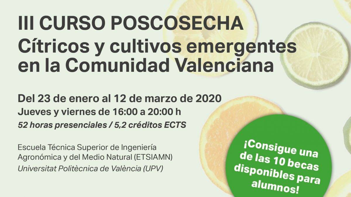 Curso-2019-inicio|curso-poscosecha-III-peq